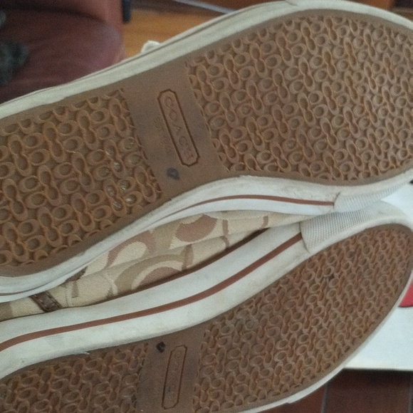 Authentic Coach Sneakers - Picture 3 of 4